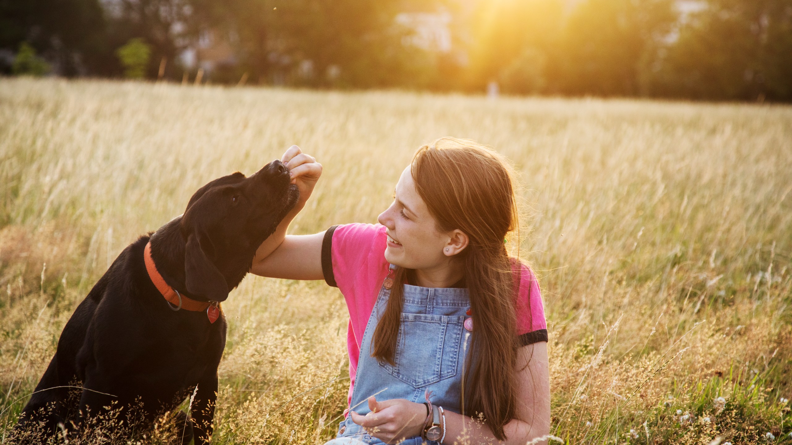 Teenager gives her dog a treat, both sitting in park