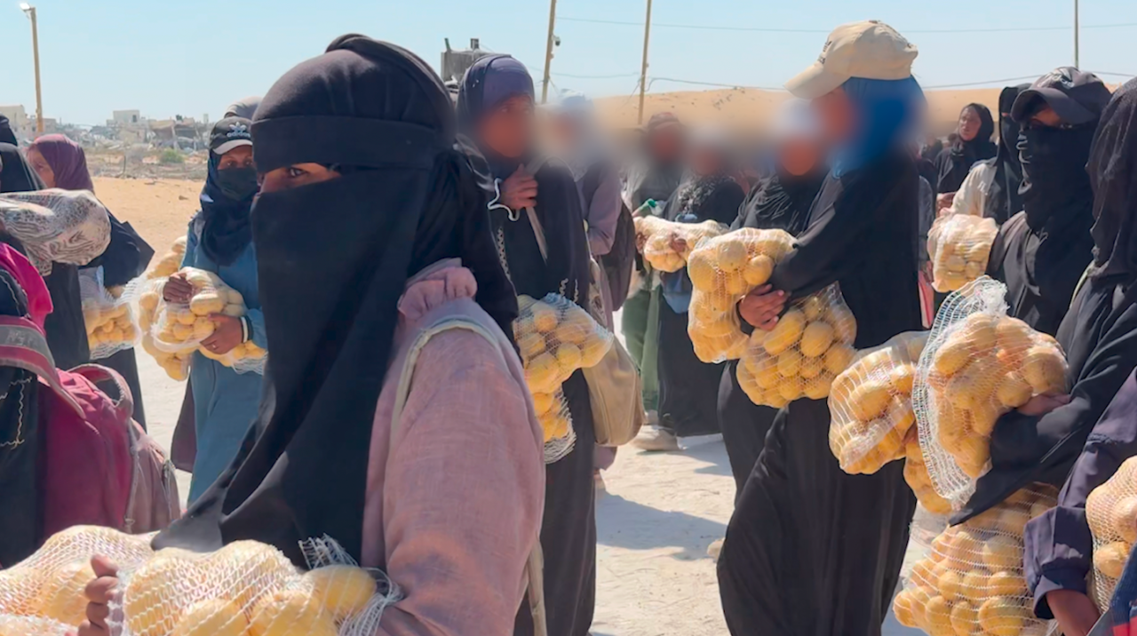 Robert Sherman in Gaza