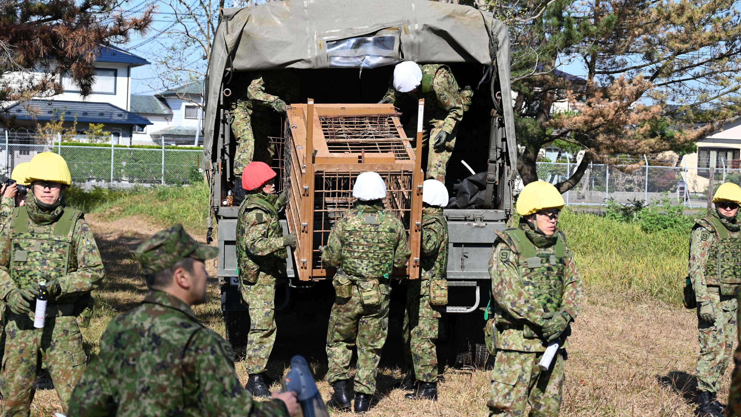 forces personnel unload a bear cage from a military truck