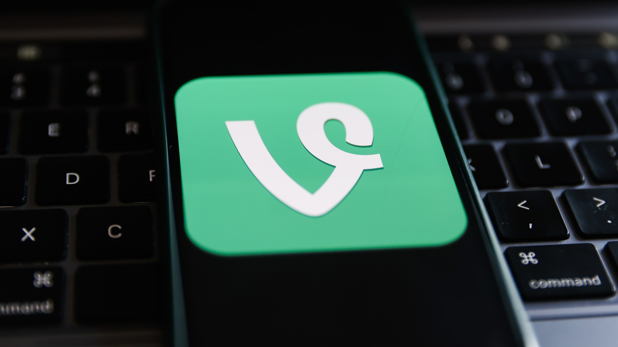 Vine logo displayed on a phone screen