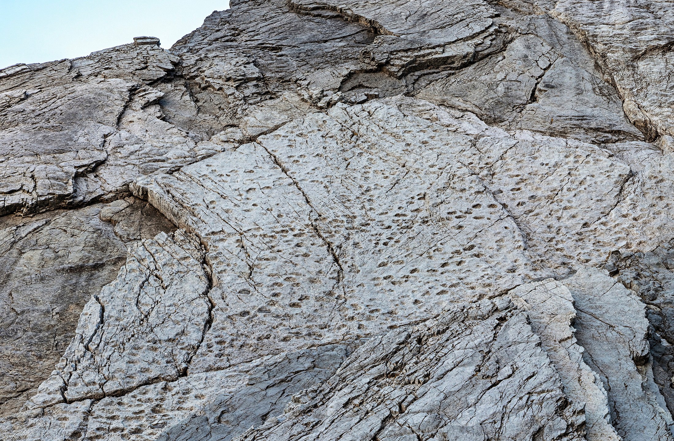 In this photograph taken in September 2025 and released Tuesday, Dec. 16, 2025, by Stelvio National Park, Late Triassic prosauropod footprints are seen on the slopes of the Fraeel Valley in northern Italy. (Elio Della Ferrera/Stelvio National Park via AP)