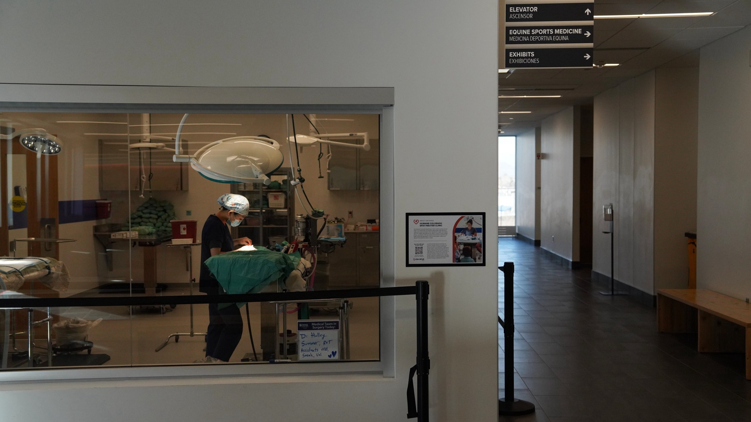 A veterinarian works on an animal in a building that is heated and cooled by a wastewater heat recovery system Tuesday, Dec. 2, 2025, in Denver. (AP Photo/Brittany Peterson)