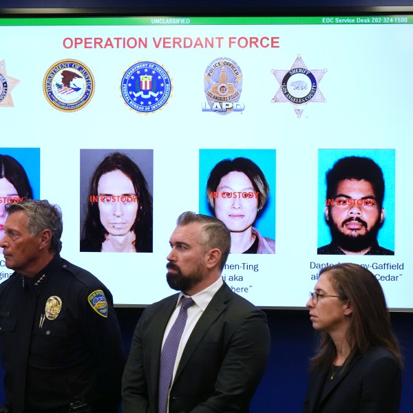 Photos of suspects of a terror plot in California
