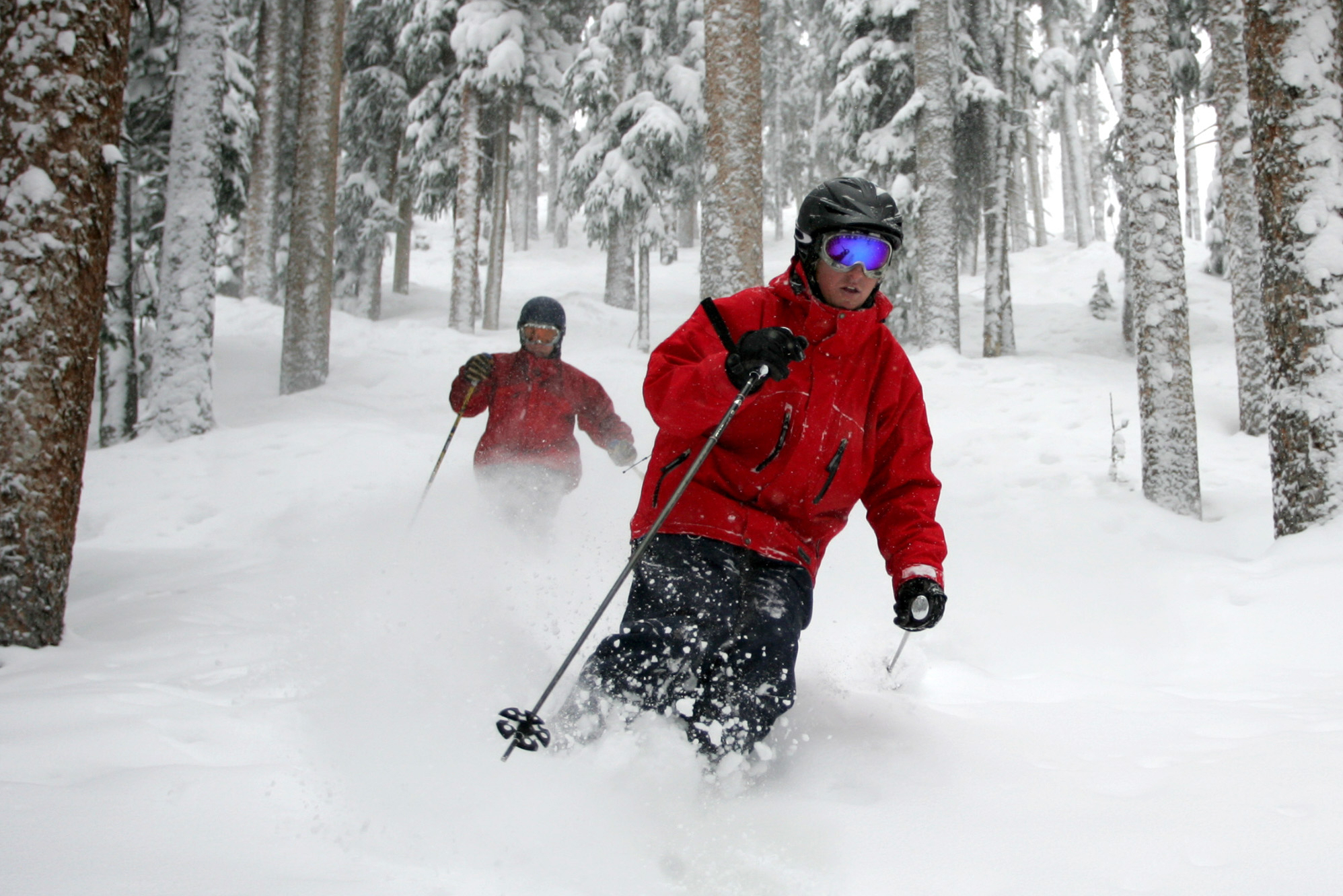 People ski between the trees in the deep powder at Telluride Ski Resort