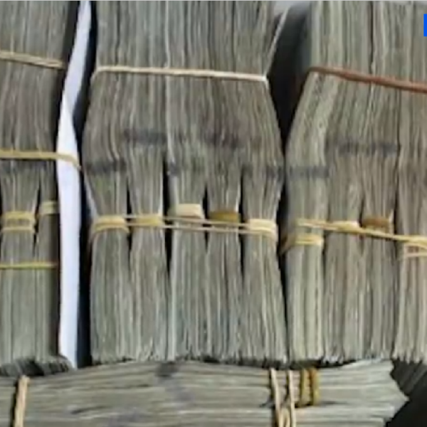 a box of cash bound with rubber bands