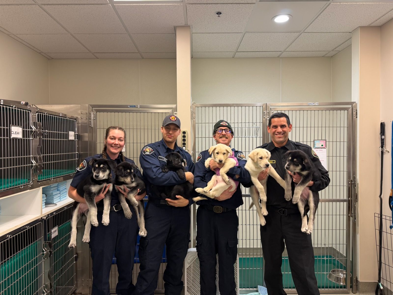 Four police officers holding puppies